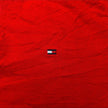 Polo TOMMY HILFIGER rouge - Taille M